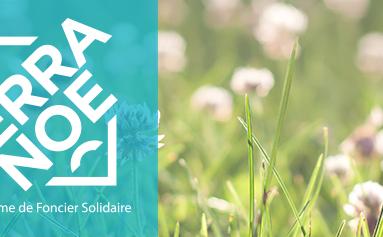 Lancement d’un Organisme de Foncier Solidaire : Terra Noé