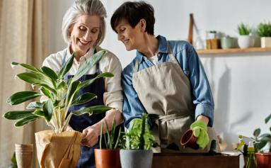 Le potager de septembre : bons gestes et astuces