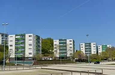 La Roche-sur-Yon - Moulin d'Alluchon